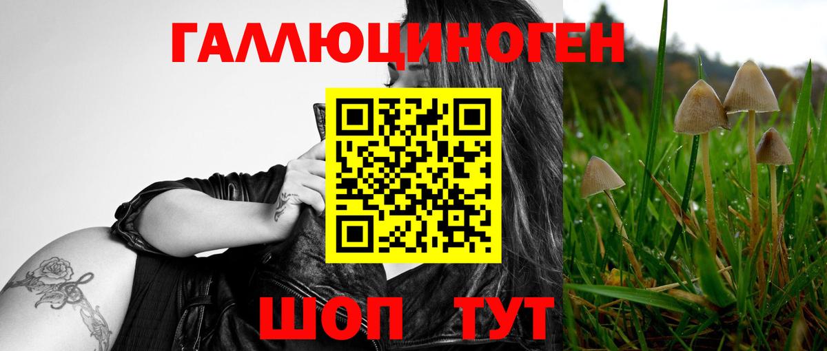 Кашира  Галлюциногенные грибы мухоморы  купить наркоту  Вход с VPN 